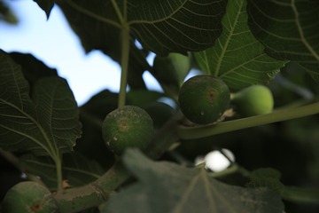 4T9A7963