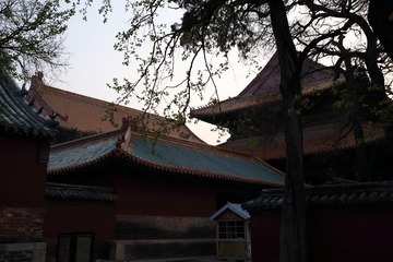 4T9A5596