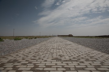 4T9A4437