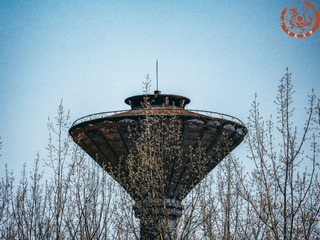 245064