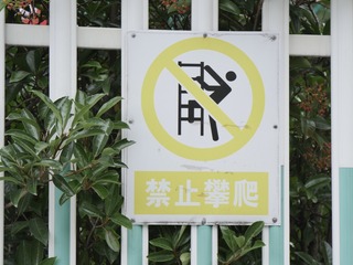 Optional(