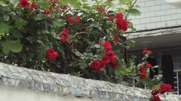 7B35121D-EA41-4FAD-9953-1DE8734AB627/L0/001