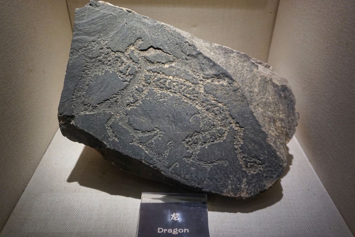 宁夏博物馆随拍贺兰山岩画西夏文化西夏宗教西夏传统西夏文字