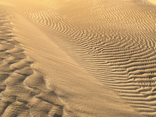 52D63E4D-E464-4559-B934-B0F6903656EB/L0/001