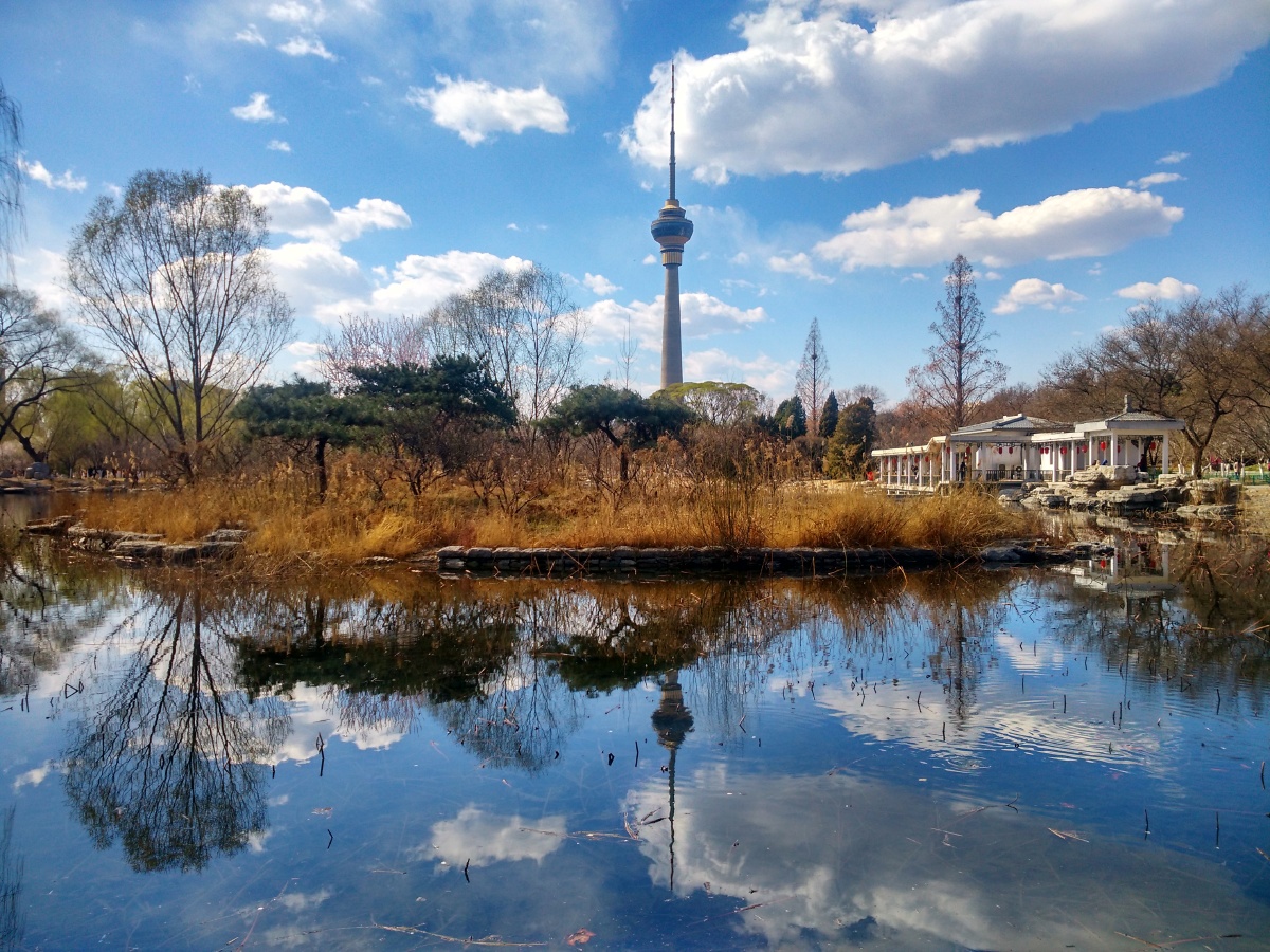 北京玉渊潭八一湖中央电视塔春景
