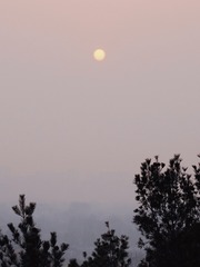 B90F46CA-1956-4219-8115-552CBBB2D7DB/L0/001