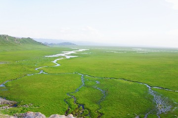 1000079291