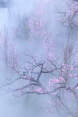 20210307-DSC_9401