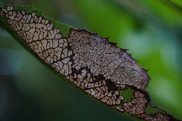 7511396F-DEE2-458C-A5AB-08EB680BD3E0/L0/001