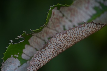 67044257-B90D-4CB6-8ED0-3DE22CF4DE66/L0/001