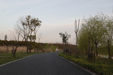 993742