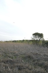993748