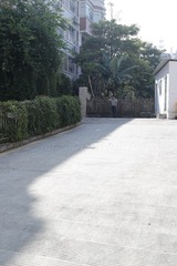 _U8I0956