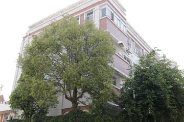 _U8I0958