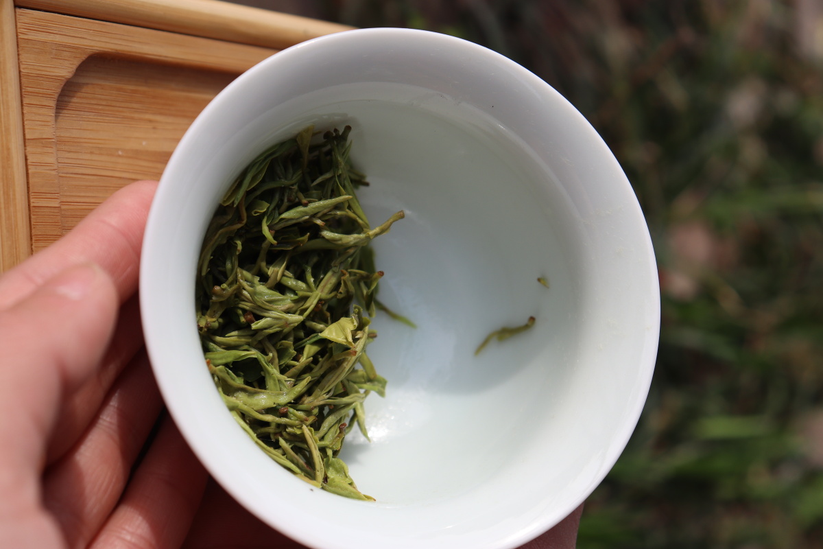 "江南无所有,聊赠一枝春"今天喝茶了吗?