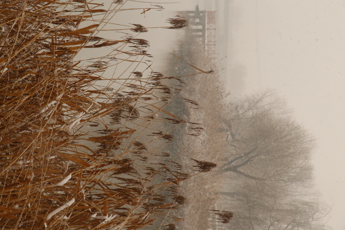 山河远阔及时行乐