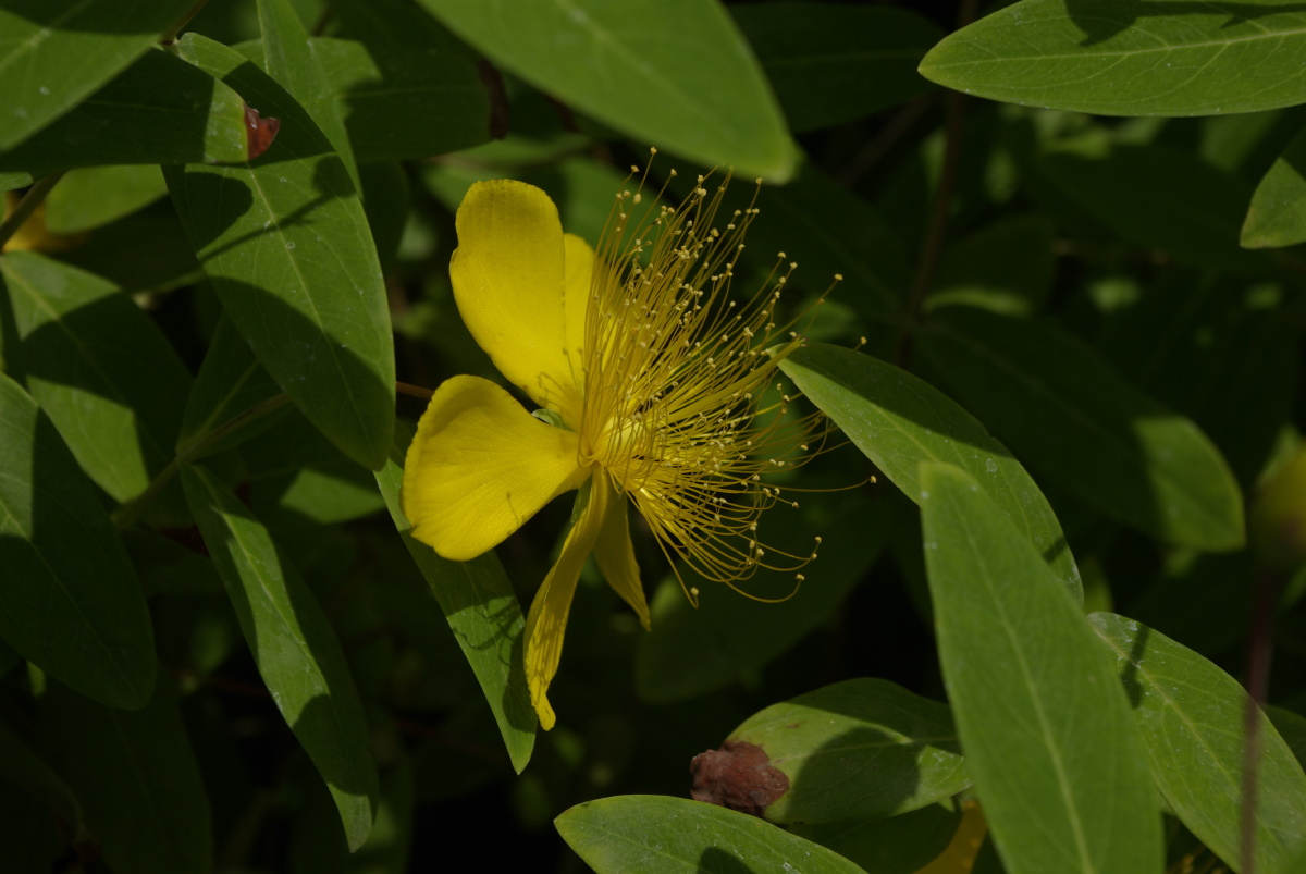宾得k10d加1855dal样片