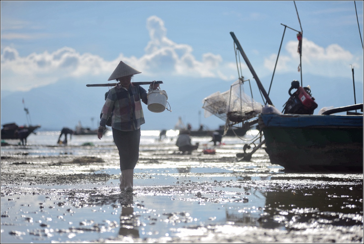 踏浪而归广东阳江海边渔民趁下午退潮时下海捕鱼收螺黄昏时分大海涨潮