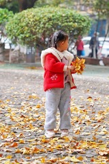 9D930902-2CE8-433A-9574-DFF68B34CD19/L0/001