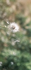 C1CC3F79-E287-44B3-9B6E-B6133CE8C68F/L0/001