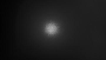 278204