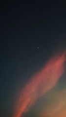 433981
