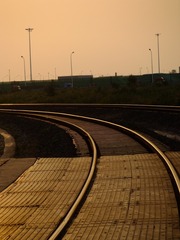 99878