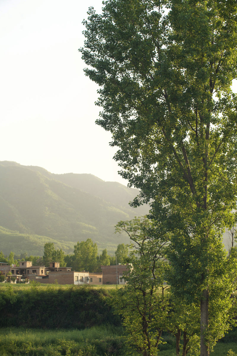 绿树村边合,青山郭外斜