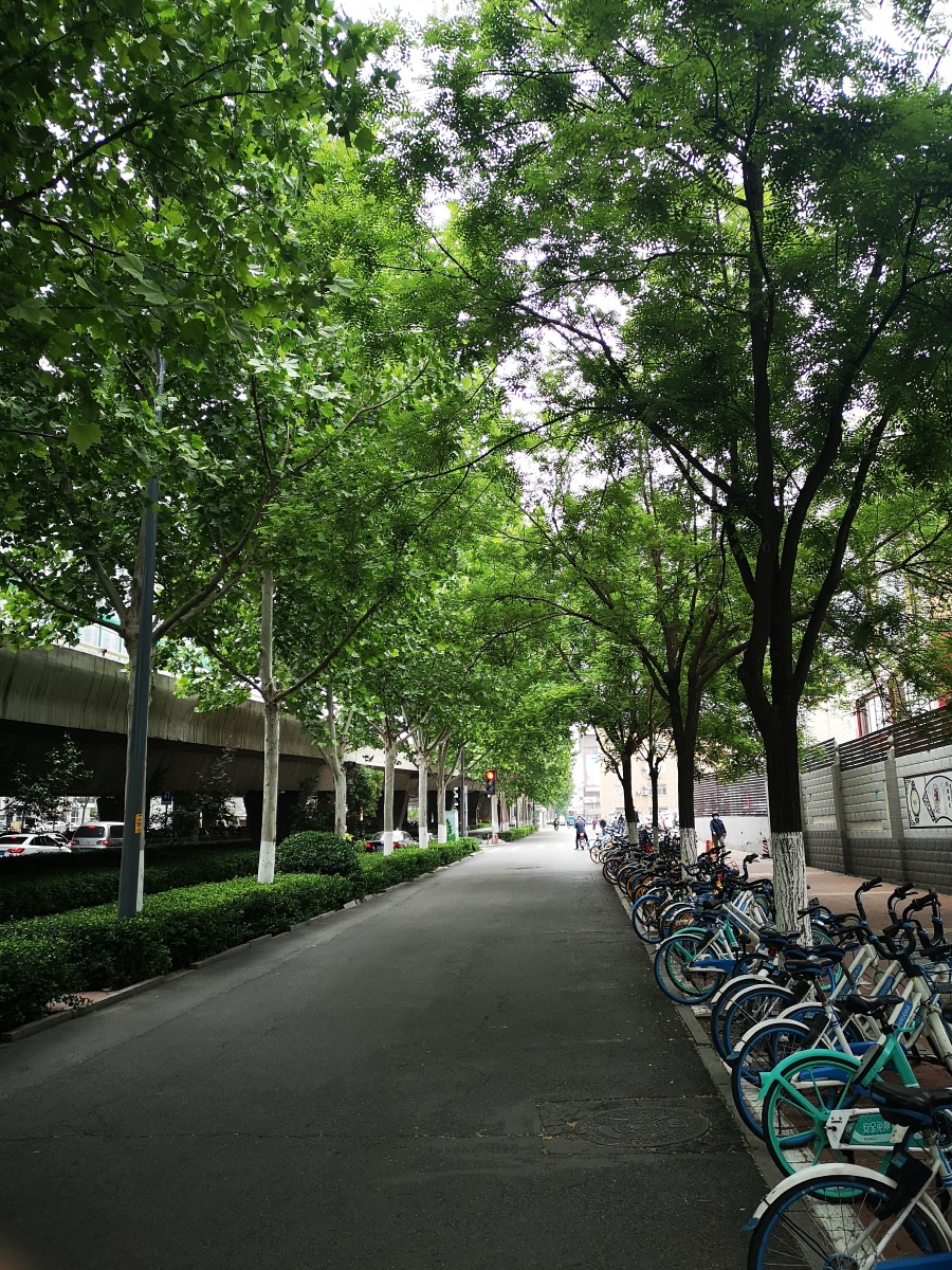 济南的街道