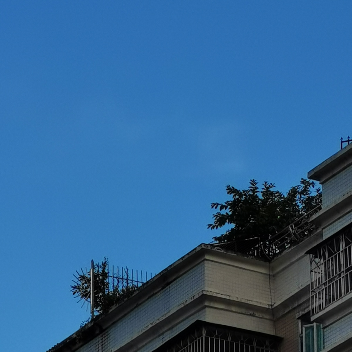 天空是蔚蓝色窗外有千纸鹤