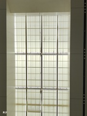 1000050541