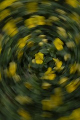 087B8D1D-8630-476E-BD01-99F4240AAE58/L0/001