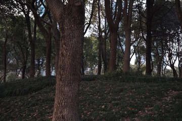 B886EF54-3536-4974-8D07-26672CF57C7E/L0/001