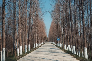 0D335F51-0B0F-410A-B27F-6804C5702D42/L0/001