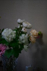 B3D49705-CB1C-41B0-9B6A-7D33B502BCB0/L0/001