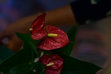 9AE380EA-D00F-4D8D-A048-F22A81B2AE72/L0/001
