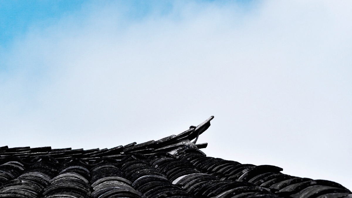 我只想停在老房子的屋顶