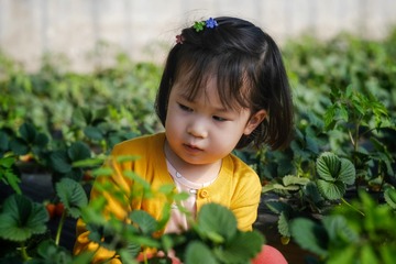 58343F45-EB5D-48E5-8E77-D87D2F799B80/L0/001