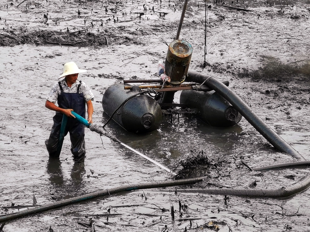 沙湖清淤工