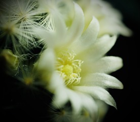 3F54A91E-32C4-42F5-93FD-EB3073724007/L0/001