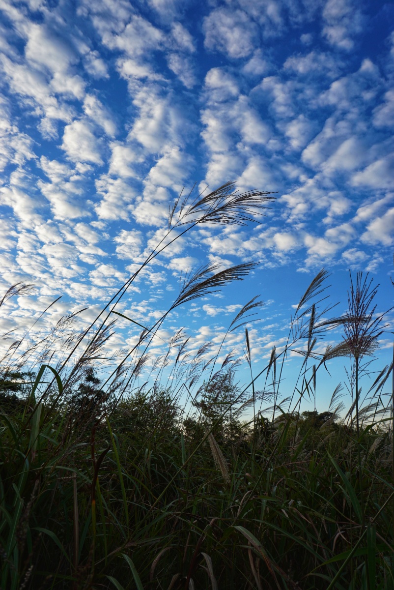 白云悠悠蓝天下