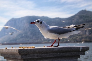 410587