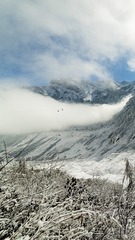 2004