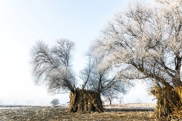 _26A3459