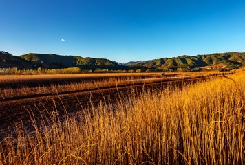 念湖湿地风光5