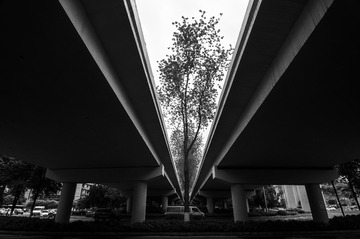 _WWG2611