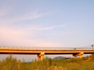 269486