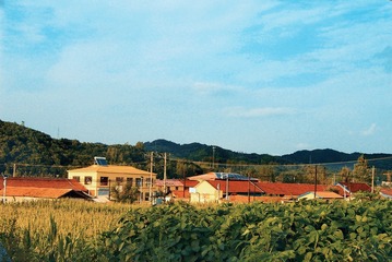293549