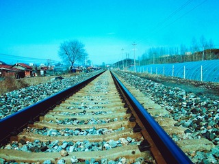 65209