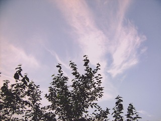 298661
